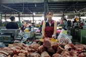 Heo sạch, an toàn đang khốn khổ vì bị 'oan' Heo sạch, an toàn đang khốn khổ vì bị 'oan'