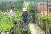 TP. HCM phát triển sản phẩm du lịch theo hướng liên kết vùng TP. HCM phát triển sản phẩm du lịch theo hướng liên kết vùng