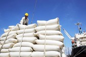 Gạo đầy kho, DN và các tỉnh đề xuất cho xuất khẩu trở lại
