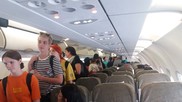 Thí điểm đưa chó nghiệp vụ vào Tân Sơn Nhất