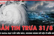 Bản tin trưa 31-8: Bão Saola đạt cấp siêu bão, hoành hành dữ dội ở Biển Đông