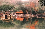 Ngắm hoa gạo nở đỏ rực bên ngôi chùa ngàn năm tuổi ở Hà Nội