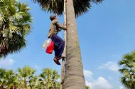 Vừa xuống mặt đất anh Tín vội vã đem mật cho vợ gánh vào nấu đường. Ảnh: HẢI DƯƠNG