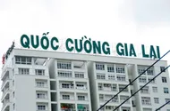 Quốc Cường Gia Lai được bán 725 căn hộ ở quận 7 