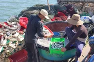 Hỗ trợ ngư dân chuyển đổi sinh kế bền vững