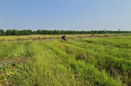 Nắng nóng gay gắt sẽ tiếp tục kéo dài ở Nam bộ