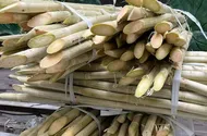 Nắng nóng kéo dài uống nước mía cần cẩn trọng điều gì?
