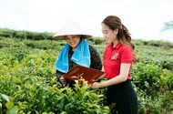 Hơn 750.000 tỉ đồng đổ vào tín dụng xanh: Ngân hàng đồng loạt chuyển mình