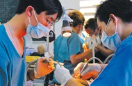 Người thầy thuốc, Y đức và “đầu vào y khoa” 