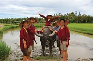 Con muốn về Việt Nam vui Tết!