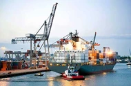 Sóng hội nhập đã ùa tới