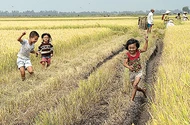 Ăn tết ngoài đồng