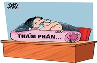 Pháp đình…kỳ cục chuyện