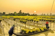 Giày cỏ, áo lụa và ghe lườn