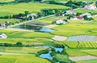 Con đường thiên lý của nước Việt