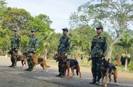 Những Chiến binh quả cảm