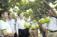 Thành quả 2019 tạo đà về đích cho năm 2020