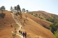 Trekking đi tìm món quà vô giá từ rừng