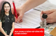 Có nên ký hợp đồng mẫu do chủ đầu tư soạn khi mua căn hộ chung cư?