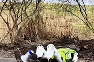 VIDEO: Đến robot cũng 'tử vong' vì... thuốc trừ sâu