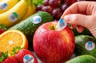 Nhãn dán trái cây tưởng vô hại nhưng có thể tiềm ẩn nguy cơ sức khỏe 