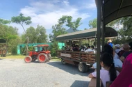 Khách Việt chuộng du lịch nội địa và nghỉ dưỡng ngắn ngày