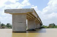 Người dân ngao ngán nhìn cầu Long Đại 'mọc cây'