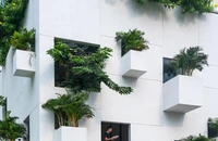 Ngôi nhà "biết thở" giữa lòng Sài Gòn