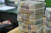 Lãi suất tiền gửi sẽ tạm ngừng tăng?