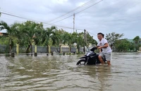 Vượt qua cơn bão dự báo mạnh nhất 20 năm, nhờ đâu?