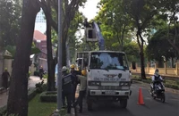 Không nên cắt tỉa nhánh cây xanh đường phố vào giờ cao điểm