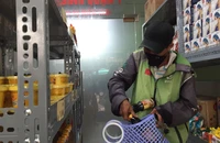 Quận 1, TP.HCM: Người nghèo đi siêu thị không phải trả tiền
