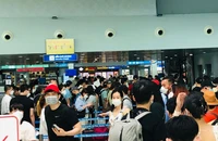Vé máy bay cao điểm tết đảo chiều tăng giá