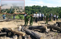 Phá rừng và cái giá phải trả - Bài 1: Rừng ‘chảy máu’ khắp nơi