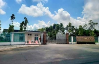 Ban Thường vụ Tỉnh ủy Kiên Giang buông lỏng lãnh đạo để xảy ra một số vi phạm