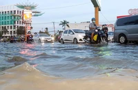 Cần Thơ chỉ đạo tăng cường công tác chống ngập trong các đợt triều cường