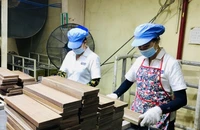 Luật BHXH (sửa đổi) có nhiều điểm mới bảo vệ tốt hơn quyền lợi cho người lao động. Ảnh minh họa: HUỲNH DU