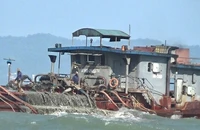 TP.HCM chỉ đạo 'khẩn' về khai thác cát trái phép ở Cần Giờ