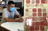 Người đàn ông làm giả 121 con dấu các cơ quan ở Đà Nẵng