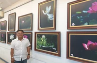 Thành Xuân Anh trở lại đời qua những bức sen thơm