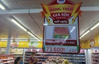 Mua thêm công ty Việt, người Thái chi phối nhiều ngành