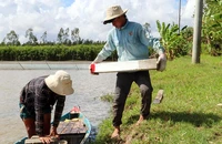 Tiếp tục nghiên cứu dùng cát biển làm các dự án cao tốc