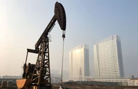 Đồng USD suy yếu đẩy giá dầu tăng