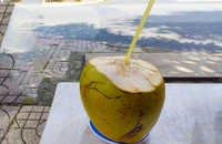 What are the benefits of drinking coconut water after exercise?