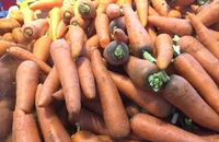 Những lợi ích bất ngờ của việc ăn cà rốt sống