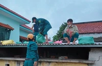 Quảng Trị, Thừa Thiên - Huế: Lên phương án di dời dân trước bão Noru