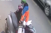 Nữ sinh chở chó đi cắt tỉa lông bị trộm ba lô hơn 30 triệu