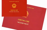 Bỏ chứng chỉ ngoại ngữ, tin học đối với viên chức ngành nông nghiệp