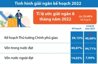 Infographic: Tình hình giải ngân vốn ngân sách 8 tháng đầu năm 2022