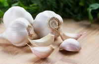 Cách chữa nhiệt miệng bằng những thực phẩm dễ tìm